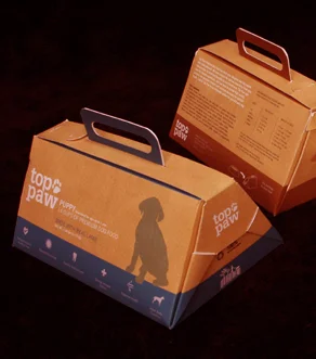 Carrier Box Packaging