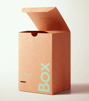 Kraft Box Packaging