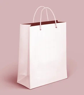 Paper Bag Packaging