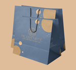 Custom Designed Paper Shopping Bags with Handles