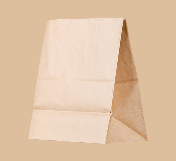 Plain Kraft Paper Retail Bag