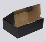 Black Locking Mailer Box