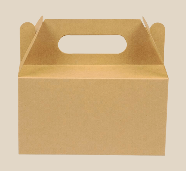 Cardboard Box with Handle