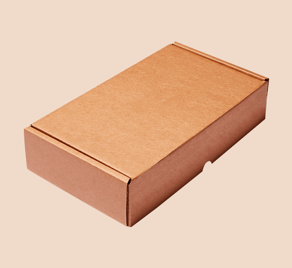 Kraft Box for Shipping and Mailing Items