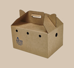 Kraft Box For Pets
