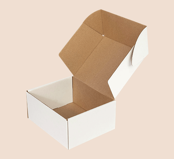 Plain Ear Lock Mailer Box