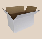 Regular Slotted Carton Style Shipping Box