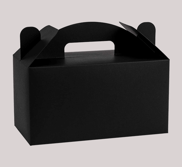 Takeaway Packaging Box